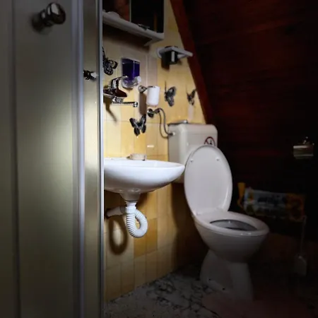 펜션 Vikendica Petrovic