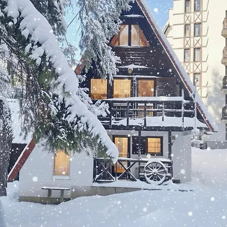 Vikendica Petrovic 펜션